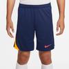 Nike As M Nk Df Strk Fashion Simple Comfortable Casual Shorts Men Shorts FN2402-494
