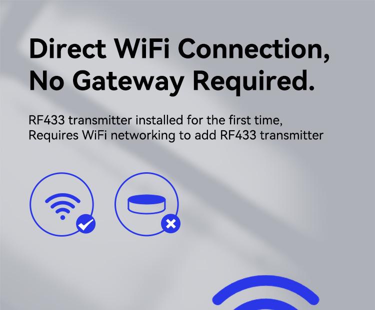 Compact WiFi + RF433 Smart Switch: Tuya Voice-Controlled Flush Mount Timer Switch