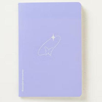 30-sheet, 3-volume, Silver-bound, Lined Notebook