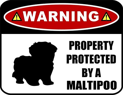 Warning Property Protected by A Maltipoo Metal Sign Decorative Novelty Aluminum wall decor 20x30cm（7.8x11.8inch）