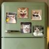 Grappige Kat Memes Koelkastmagneet Gepersonaliseerde Creatieve Magnetische Stickers Met Magneten