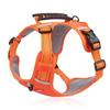 Anti-Escape Dog Harness with Leash, Vest-Style for All Dog Sizes