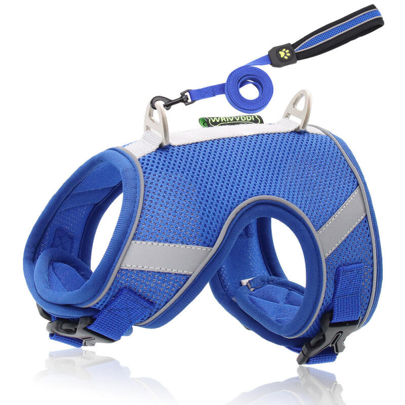 Easy Walk Dog Harness + Leash (M/Blue)