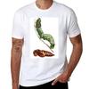 Sphinx Moth and Pupa T-Shirt Plain Sublime Sweat T Shirts for Men Cotton