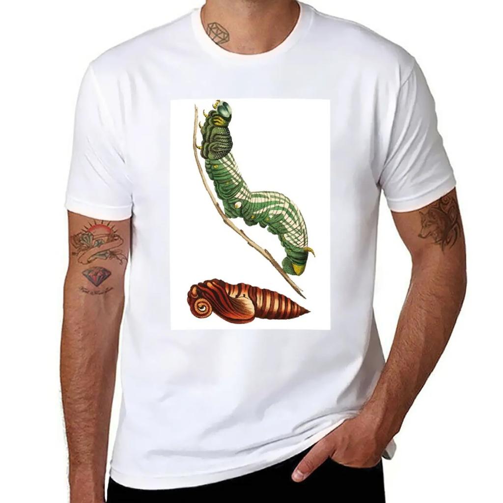 Sphinx Moth and Pupa T-Shirt Plain Sublime Sweat T Shirts for Men Cotton