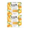 Plant Extract Purifying Citrus Scent Soap