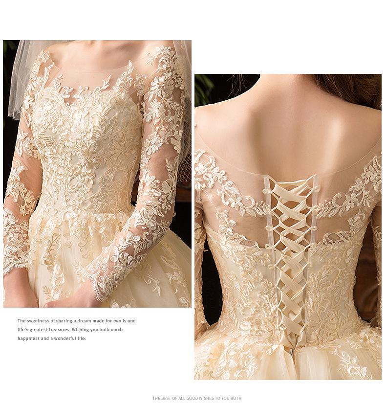 2024 Luxury Lace Long Sleeve Wedding Dress for Brides, Plus Size, D50