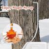 Maple Tree Tapping Kit 4 Set Portable Trunk Faucet for Syrup Stainless Steel Maple Tree Taps Spiles Tree Sap Collection Drill