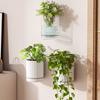 Self Absorbing Wall Hanging Flowerpot Wall Mounted Drainage Holes At The Bottom Hydroponic Green Plants No-drill Save Space