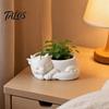 Talos Blumentopf-Ornament, 3D-gedruckte schlafende Drachenform, matt großer gewölbter Pflanztopf, für Heim-Büro-Schreibtisch-Garten-Dekoration