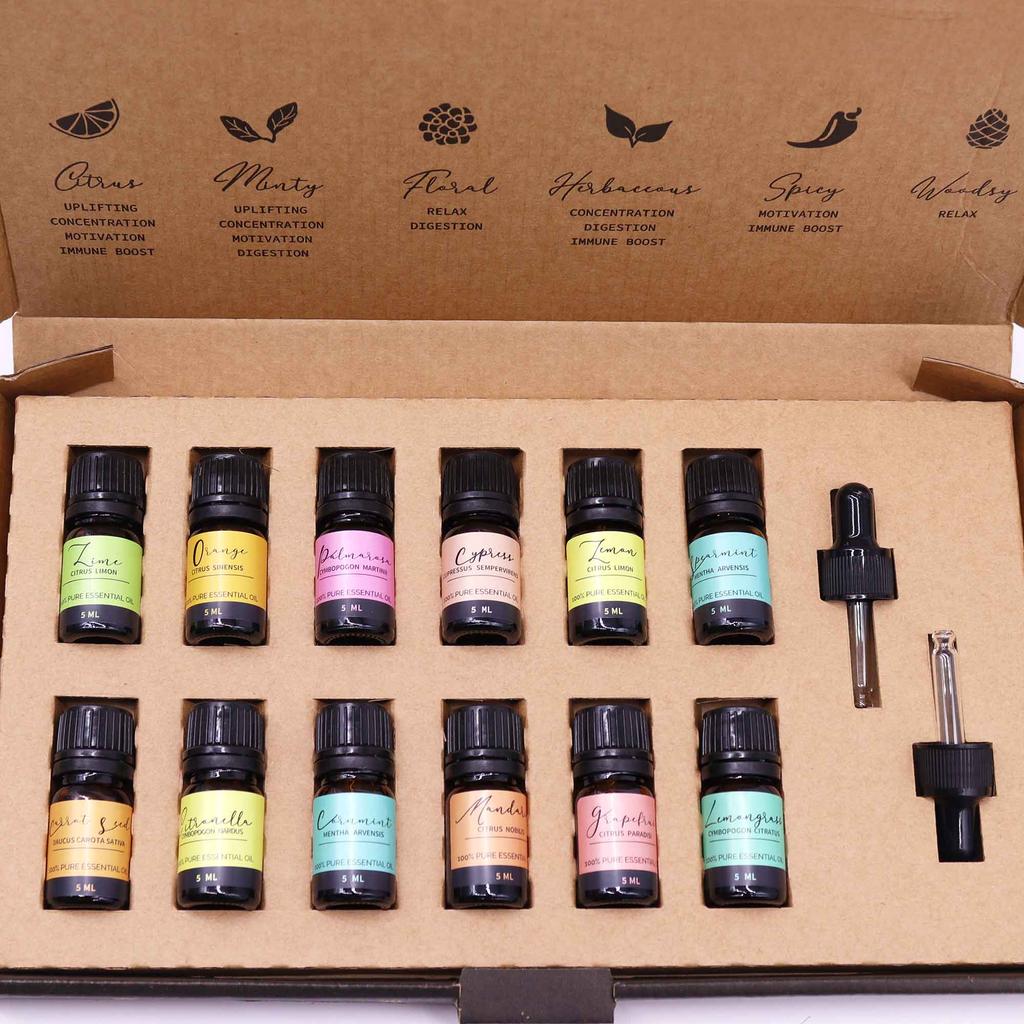 Ätherische Öle Set, 12er Pack 5ml Aromatherapie