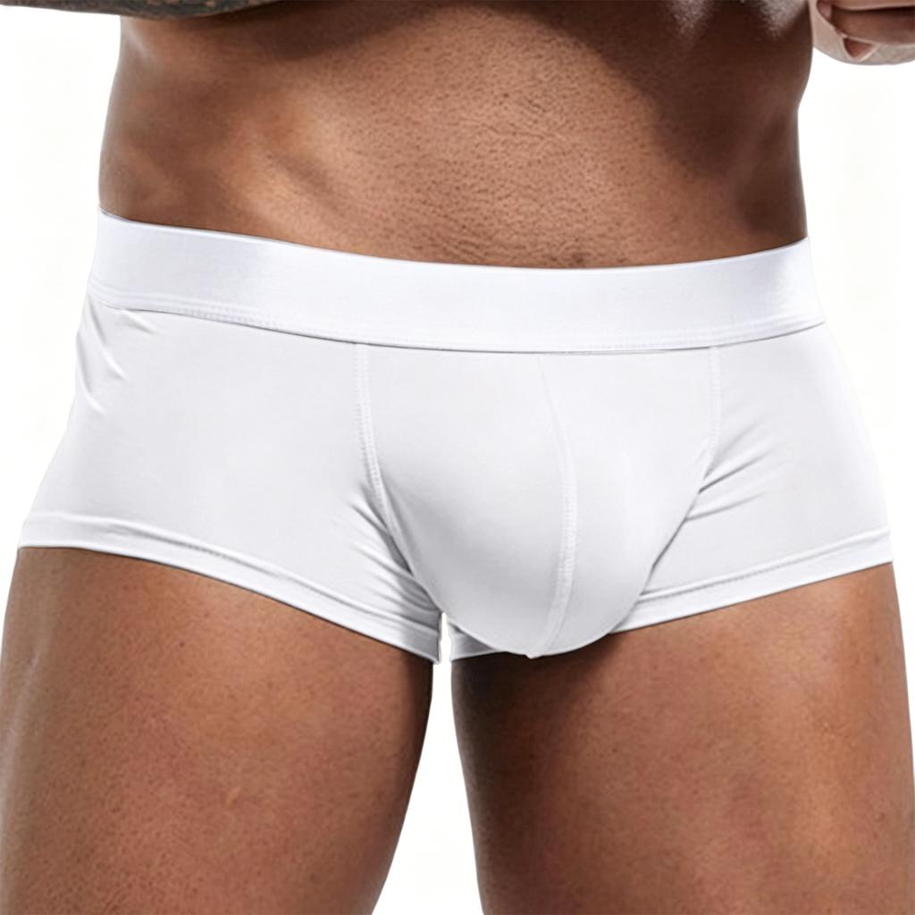 Men's Seamless Ice Silk Underwear Sexy Briefs