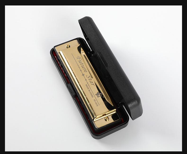 Four-Color Beginner 10-Hole Blues Harmonica in ABS Box