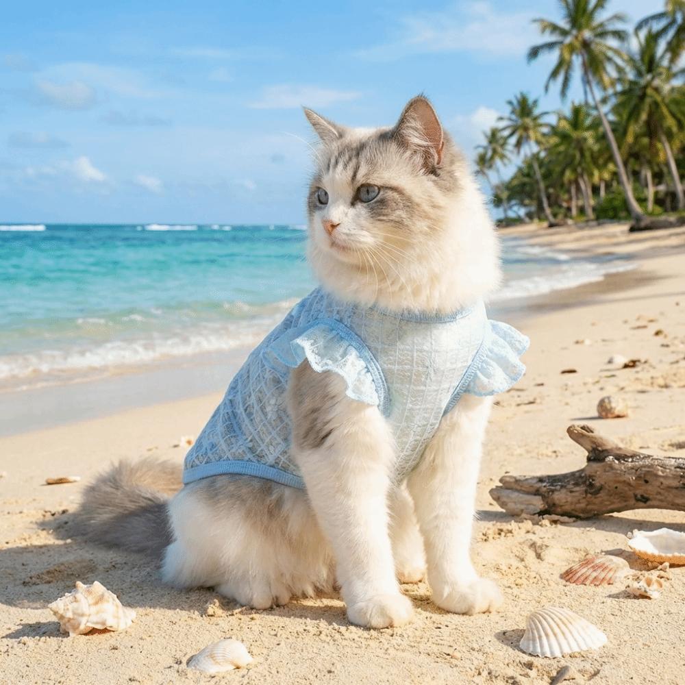 Breathable Dog Cooling Vest Thin Mesh Dog Summer Clothes Sweet Pet T-shirt  Spring Season