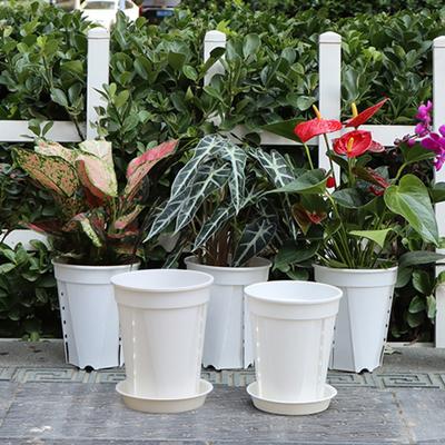 Orchid Pot with Saucer Flowerpot with Side Ventilation And Drainage Holes Rot Prevention Plant Pot for Phalaenopsis Roses Indoor Outdoor Use