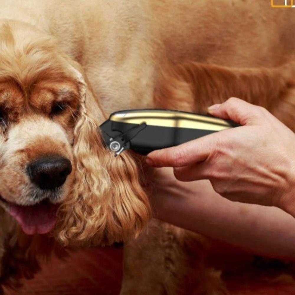 Cordless Electric Pet Clipper USB Rechargeable Dog Hair Clippers Universal Cat Shaver  Dogs Haircut