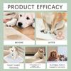 Yegbong pet toilet training spray to guide cats and dogs to defecate at fixed points, natural formula for indoor and outdoor use 100ml