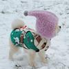 Funny Warm Pet Head Cover Soft Noise Protection Winter Pet Hat with Ball Comfortable Pet Transformation Hat Photography