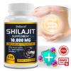 Didacat Shilajit 10.000 MG Maximale Stärke Nahrungsergänzungsmittel 120 Kapseln