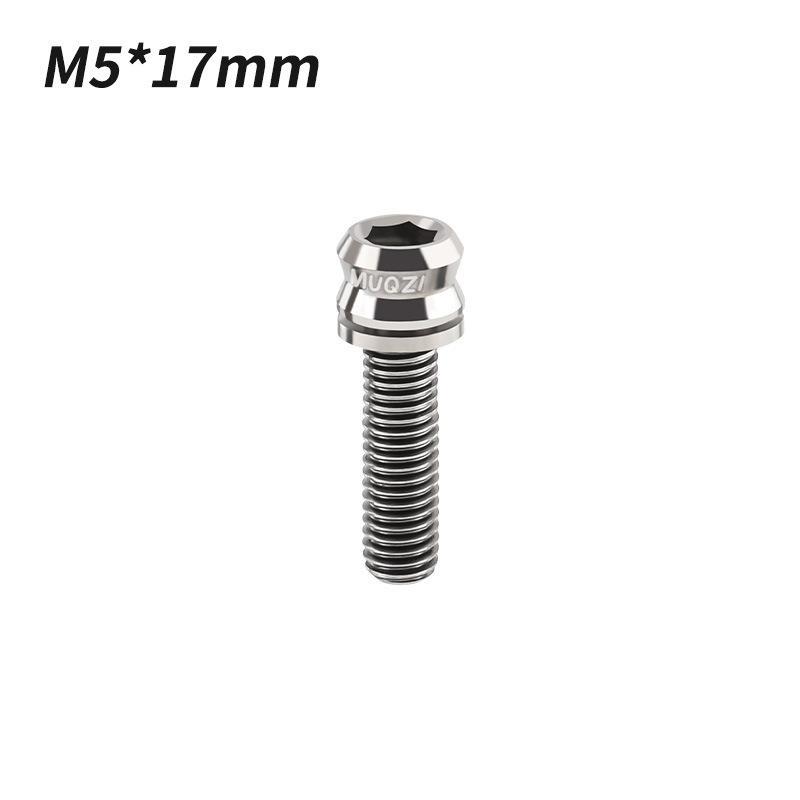 1/2Pcs Titanium Bolt M5X17Mm M5X19Mm Bicycle Nut Titanium Alloy Stem Bolts Road Folding Bike Screw Accessories
