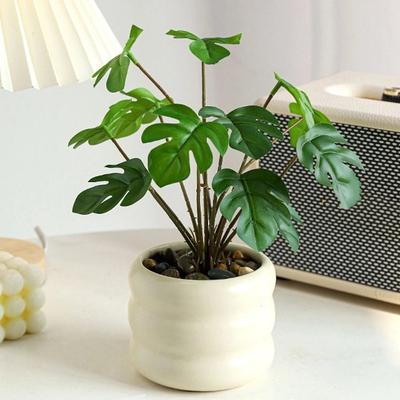 Realistyczne Sztuczne Rośliny Bonsai Wiecznie Zielone Wieczne Życie Sztuczne Rośliny Tropikalne z Ceramiczną Doniczką Bez Podlewania