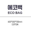 Jang Woo Hyuk   08 Eco Bag 2022 JangWooHyuk Fan Concert