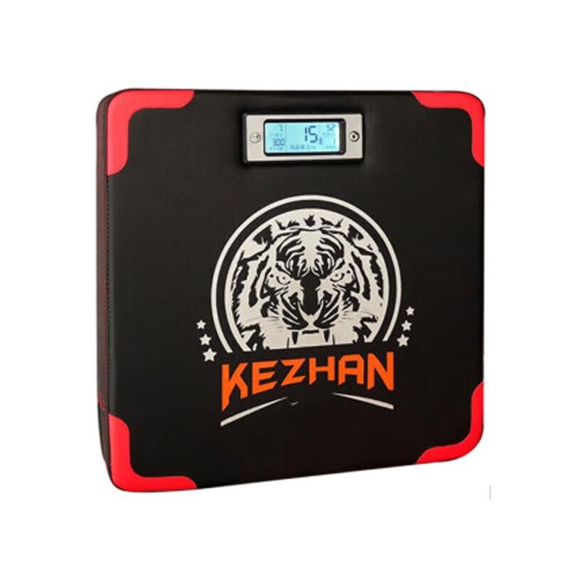 CAOX Boxing Force Tester