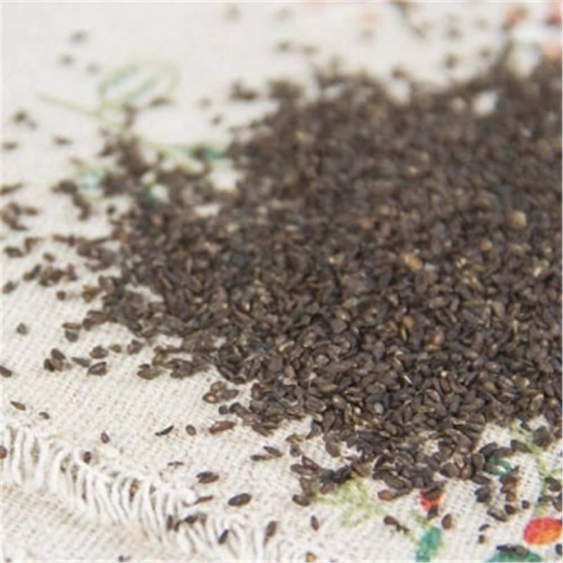 250g Plantago Asiatica Seed  Che Qian Zi Plantain Seed Psyllium Seed Natural