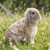 Adjustable Pet Rabbit Harness Breathable Walking Harness Cute Rabbit Leash Set  Daily Wear