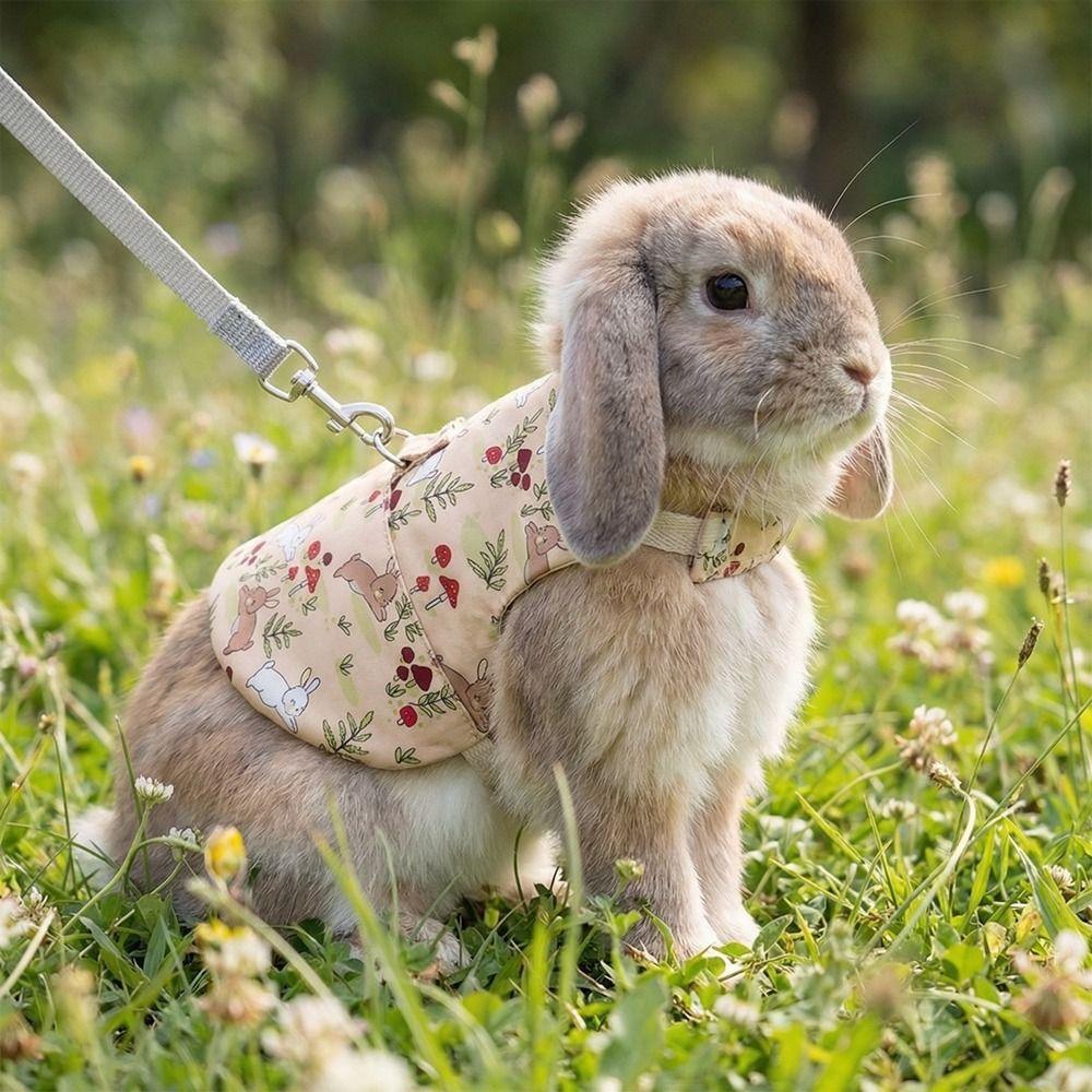 Adjustable Guinea Pigs Vest Flower Pattern Walking Harness Pet Harness and Leash  Outdoor Use