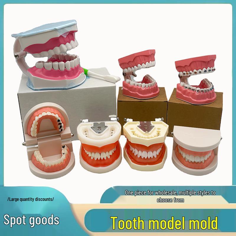 Detachable Dental Practice Denture & Oral Cavity Model