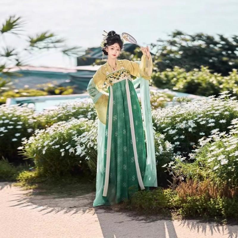 Authentic Tang Dynasty Style Hanfu Set Womens Wrap Skirt Outfit With Floral Print Embroidery