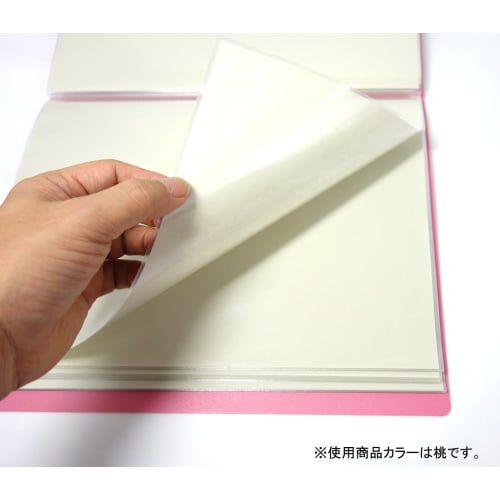 KOKUYO File Clear File POSITY A4 60 Sheets Light Blue P3-L60NLB