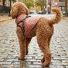 Reflective Winter Dog Jacket Adjustable Back Pet Down Coat Dog Cotton Jacket  Cold Weather