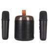 Wireless Karaoke Speakers RGB Light  5.3 Speaker with 2 Wireless Microphones Portable Karaoke Machine for Family Party