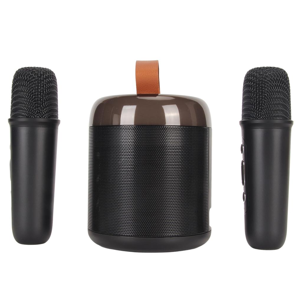 Wireless Karaoke Speakers RGB Light  5.3 Speaker with 2 Wireless Microphones Portable Karaoke Machine for Family Party