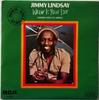 7-inch Plaat JIMMY LINDSAY Where Is Your Love PB9422 RCA Victor 1979 Spanje Reggae Ska Dub Gebruikt