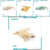 Lifelike Static Reptile Model Of Chameleon And Gecko Perfect For Home Decoration