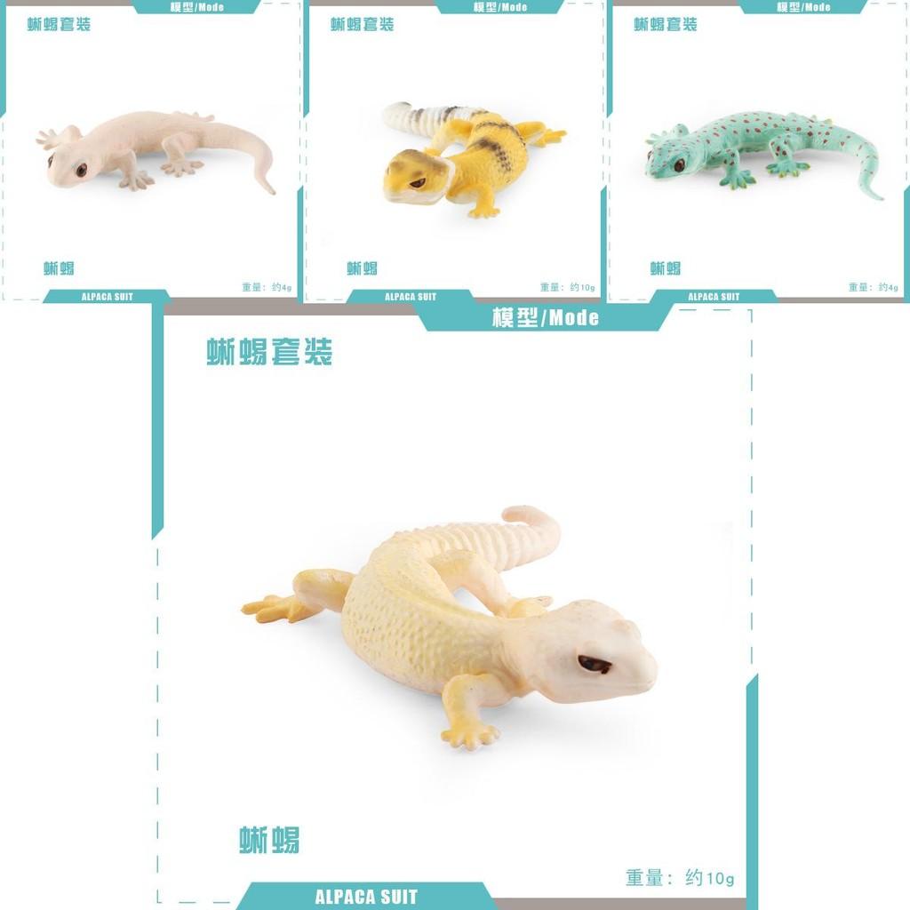 Lifelike Static Reptile Model Of Chameleon And Gecko Perfect For Home Decoration