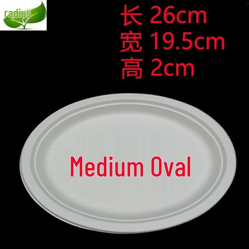 ZISIZ Disposable Paper Plates