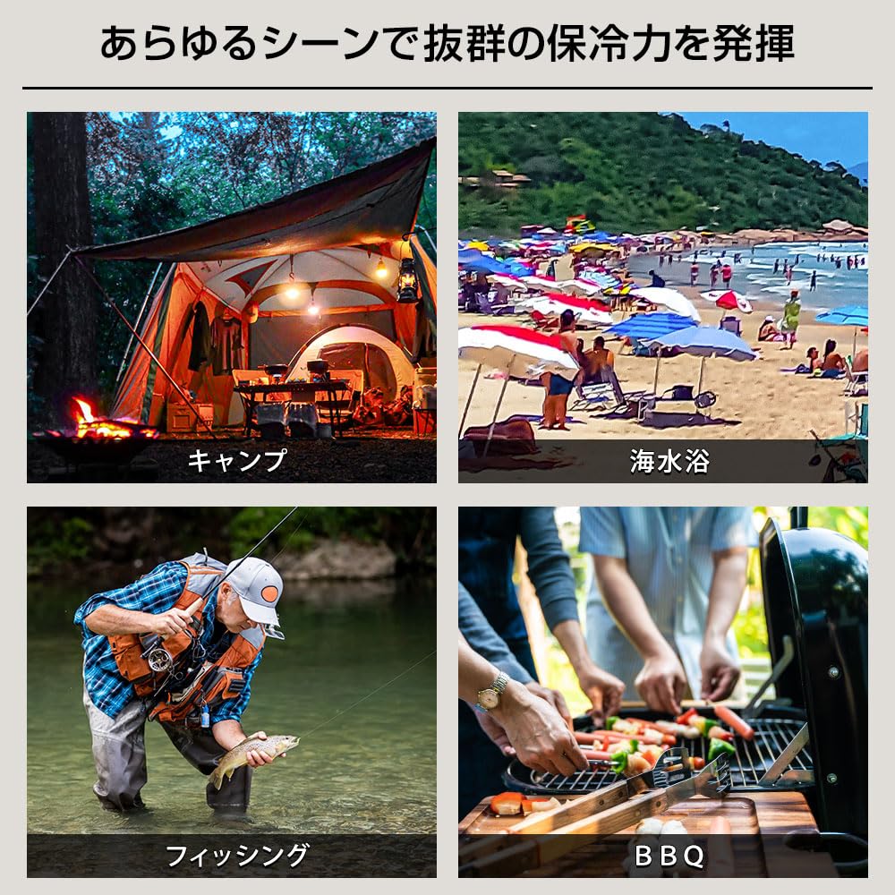 HANT Soft Cooler Box F20 Black HASC20F-BK