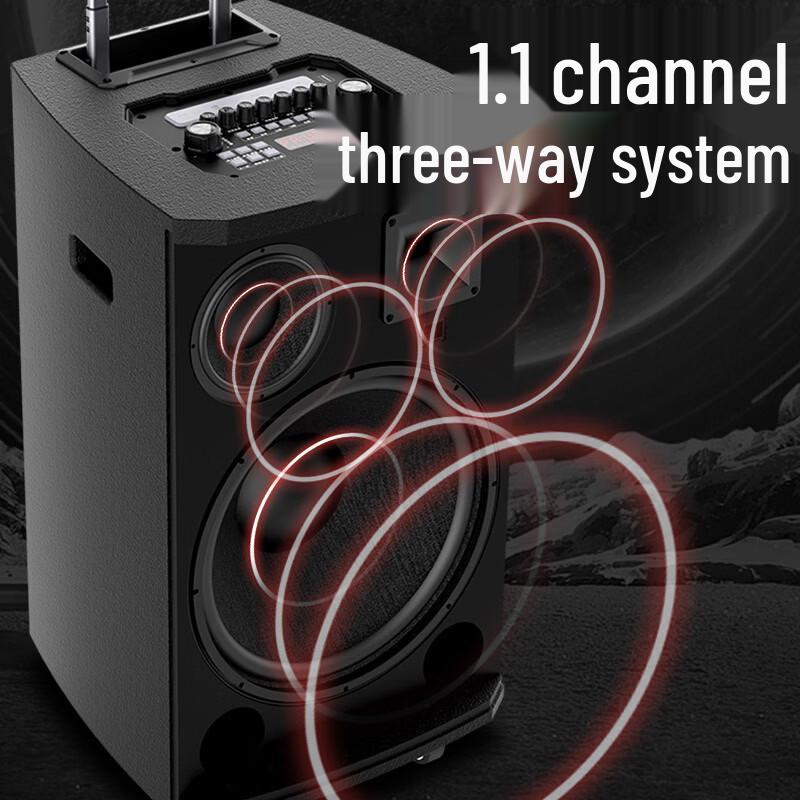 SANSUI L-Series 8-Inch Outdoor Trolley Speaker with Dual Mics CN plug (adapter included) (CN version)