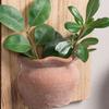 Shelf Bedside Stand Wall Mounted Three Dimensional Flower Pots Holder Decoration