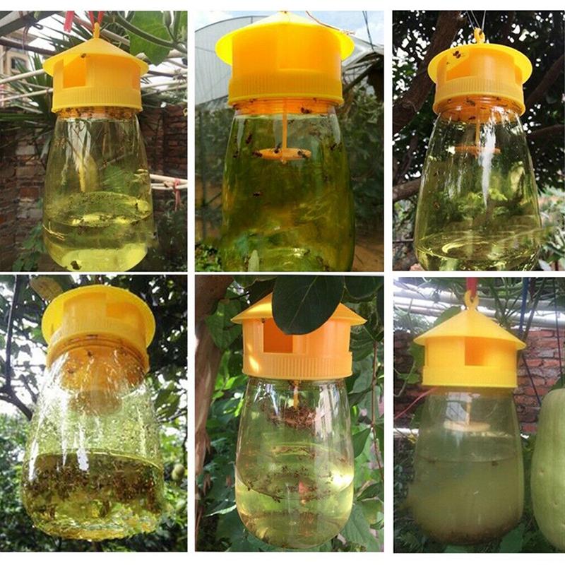 Trap Fruit Stalls Melon Fruit Insects Fruit Fly Bee Armyworm Attract Trap Agent