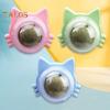 Catnip Ball Edible Catnip Ball Toy Safe Healthy Kitten Chew Teeth Cleaning Dental Toy Wall Treats Cat Lick Ball Toy for Indoor Cats