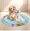 Cartoon Round Inflatable PVC Ice Pad for Cats & Dogs - Scratch-Resistant, Water-Injectable & Thickened