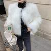 Autumn and Winter New Fashion Imitation Fox Fur Coat Women's Short Slim and Thin Fur Coat Tide