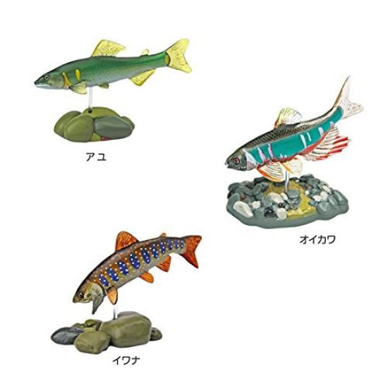 Calorata Japanese Freshwater Fish 3D Encyclopedia Species Includes Instructions and Realistic Figures Birthday Gift Sanitation Law Fish Figure Gift