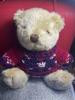 [USED] Teddy bear, teddy bear wearing a sweater, pastel, retro