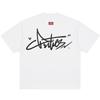 Dickies T-Shirts Unisex Crew Neck Moderate Heavyweight DKU262NKT466-HYL